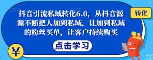 抖音引流私域转化6.0,从抖音源源不断把人加到私域,让加到私域的粉丝买单,让客户持续购买-成可创学网