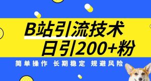 B站引流技术：每天引流200精准粉，简单操作，长期稳定，规避风险-成可创学网