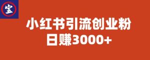 宝哥小红书引流创业粉，日赚3000+【揭秘】-成可创学网