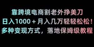 靠跨境电商割老外挣美刀,日入1000+月入几万轻轻松松!多种变现方式,落地保姆级教程【揭秘】-成可创学网