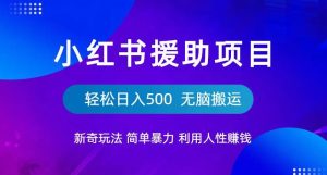 小红书援助项目新奇玩法,简单暴力,无脑搬运轻松日入500【揭秘】-成可创学网