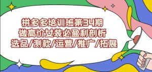 拼多多培训班第34期：做高价女装必盈利剖析选品/测款/运营/推广/拓展-成可创学网