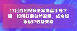 12月底短视频全案操盘手线下课,如何打通自然流量,成为想象级IP必备要素-成可创学网