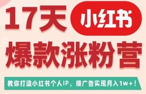 17天小红书爆款涨粉营(广告变现方向),教你打造小红书博主IP、接广告变现的-成可创学网