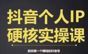 个人IP创富系统实战课，商业定位，流量打造，短视频变现，教你做个赚钱的抖音号-成可创学网