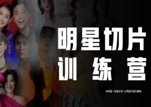 王子·明星切片线上训练营(2023),和明星一起拿红利,让明星为我们赚钱-成可创学网
