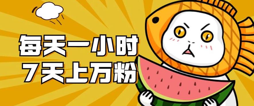 暴力涨粉项目：每天一小时，七天上万粉【揭秘】-成可创学网