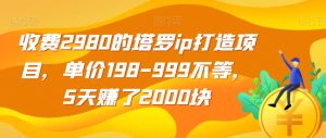 收费2980的塔罗ip打造项目，单价198-999不等，5天赚了2000块【揭秘】-成可创学网