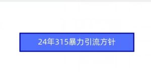24年315暴力引流方针-成可创学网