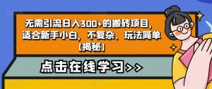 无需引流日入300+的搬砖项目，适合新手小白，不复杂、玩法简单【揭秘】-成可创学网