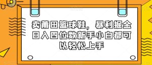 卖莆田篮球鞋，暴利掘金日入四位数新手小白都可以轻松上手【揭秘】-成可创学网