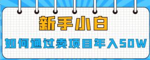 新手小白如何通过卖项目年入50W【揭秘】-成可创学网