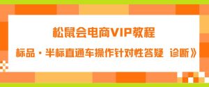 松鼠会电商VIP教程：松鼠《付费推广标品·半标直通车操作针对性答疑&诊断》-成可创学网