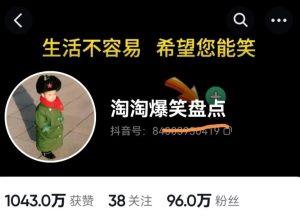 价值1000的搞笑盘点大V淘淘爆笑盘点详细课程+软件，中视频变现-成可创学网