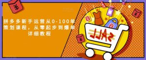 拼多多新手运营从0-100单策划课程，从零起步到爆单详细教程-成可创学网