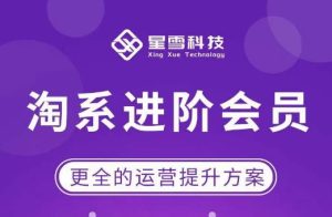 星雪·淘系进阶课程，快速提升突破技能流量瓶颈必备（更新2023年5月）-成可创学网