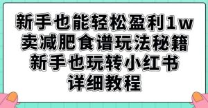 新手也能轻松盈利1w，卖减肥食谱玩法秘籍，新手也玩转小红书详细教程【揭秘】-成可创学网