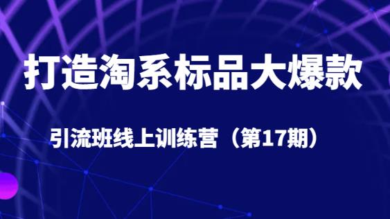 打造淘系标品大爆款引流班线上训练营（第17期）5天直播授课-成可创学网