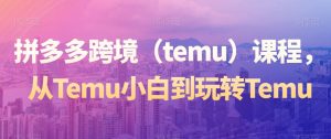 拼多多跨境(temu)课程,从Temu小白到玩转Temu-成可创学网
