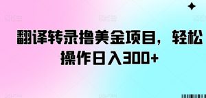 翻译转录撸美金项目,轻松操作日入300+【揭秘】-成可创学网