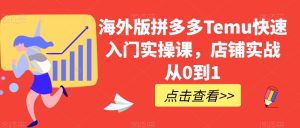 海外版拼多多Temu快速入门实操课,店铺实战从0到1-成可创学网