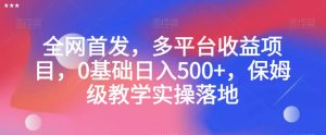 全网首发，多平台收益项目，0基础日入500+，保姆级教学实操落地【揭秘】-成可创学网