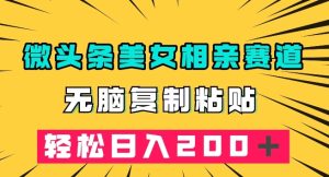 微头条冷门美女相亲赛道,无脑复制粘贴,轻松日入200+【揭秘】-成可创学网