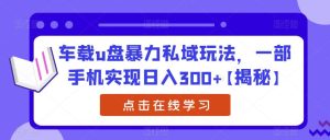 车载u盘暴力私域玩法,一部手机实现日入300+【揭秘】-成可创学网