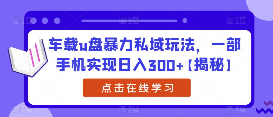 车载u盘暴力私域玩法，一部手机实现日入300+【揭秘】-成可创学网