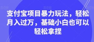 支付宝项目暴力玩法,轻松月入过万,基础小白也可以轻松拿捏【揭秘】-成可创学网