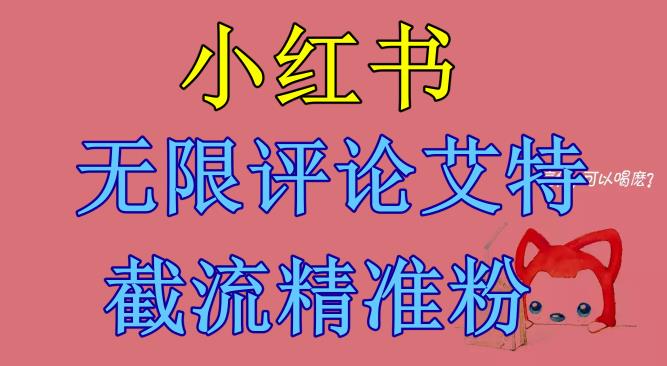 小红书无限评论艾特截流精准粉（软件+教程）-成可创学网