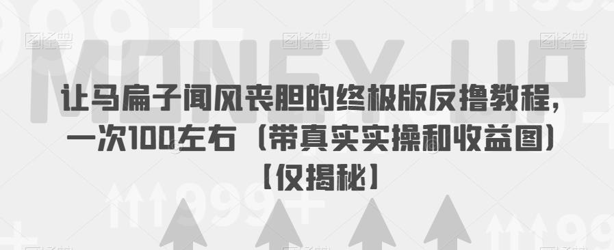 让马扁子闻风丧胆的终极版反撸教程，一次100左右（带真实实操和收益图）【仅揭秘】-成可创学网