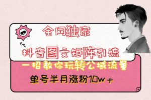 全网独家抖音图文矩阵引流，一招教你玩转公域流量，单号半月涨粉10w+【揭秘】-成可创学网