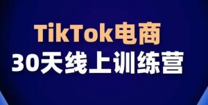 TikTok电商带货30天线上课,不可错过的全球流量洼地!-成可创学网