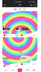 冷门高利润项目,小红书带货,无脑搬运,一部手机实现日入500+【揭秘】-成可创学网