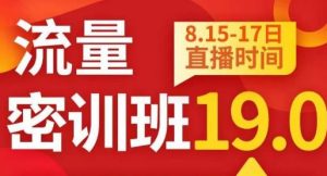 秋秋线上流量密训班19.0,打通流量关卡,线上也能实战流量破局-成可创学网