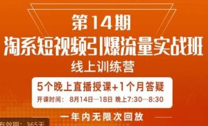 南掌柜·淘系短视频引爆流量实战班,短视频是一个没有天花板的流量入口-成可创学网
