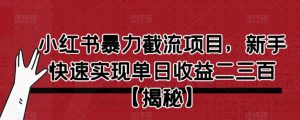 小红书暴力截流项目，新手快速实现单日收益二三百【仅揭秘】-成可创学网