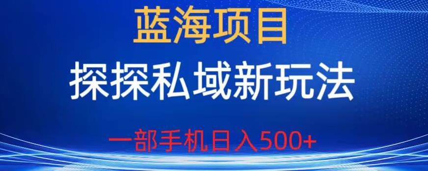 蓝海项目，探探私域新玩法，一部手机日入500+很轻松【揭秘】-成可创学网