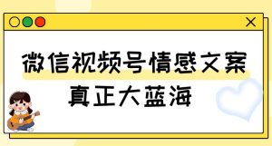 视频号情感文案,真正大蓝海,简单操作,新手小白轻松上手(教程+素材)【揭秘】-成可创学网