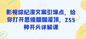 影视综纪漫文案引爆点,给你打开思维醍醐灌顶,255种开头详解课-成可创学网