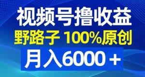 视频号野路子撸收益,100%原创,条条爆款,月入6000+【揭秘】-成可创学网