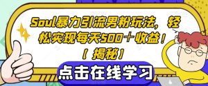 Soul暴力引流男粉玩法，轻松实现每天500＋收益！【揭秘】-成可创学网