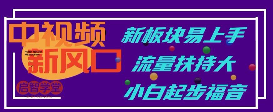 中视频新风口，新板块易上手，流量扶持大，小白起步福音【揭秘】-成可创学网