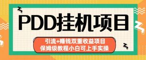 拼多多挂机项目引流+赚钱双重收益项目(保姆级教程小白可上手实操)【揭秘】-成可创学网