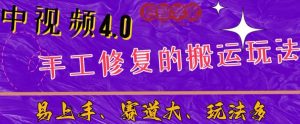 中视频4.0赛道:新手福音,一小时制作,三天过计划,7天看效果【揭秘】-成可创学网