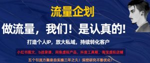 流量企划，打造个人IP，放大私域，持续转化客户【揭秘】-成可创学网
