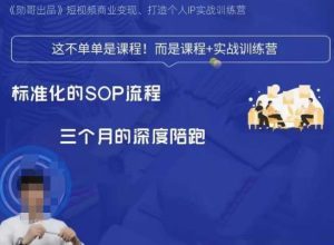 勋哥·短视频变现训练营,解决核心问题,标准化起号流程,以变现为核心-成可创学网