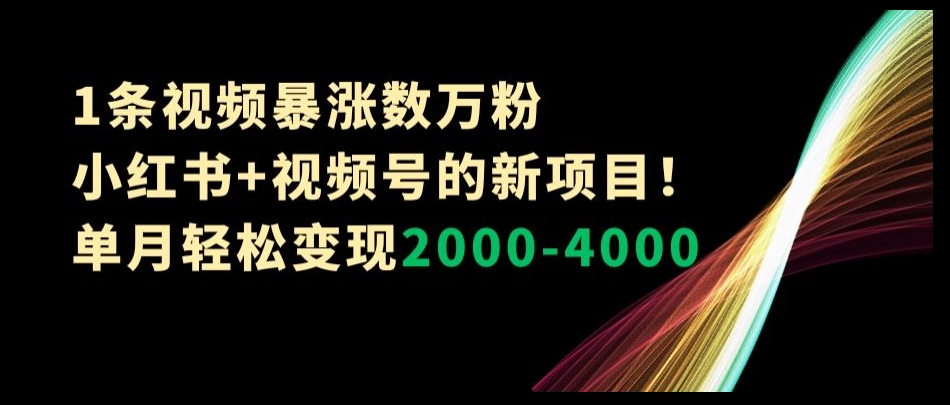1条视频暴涨数万粉–小红书+视频号的新项目！单月轻松变现2000-4000【揭秘】-成可创学网