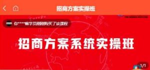 【一度招商】招商方案系统实操班 价值1980元-成可创学网